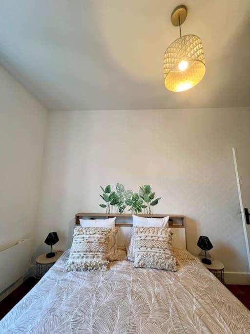 Oasis En Centre-Ville Vierzon Extérieur photo